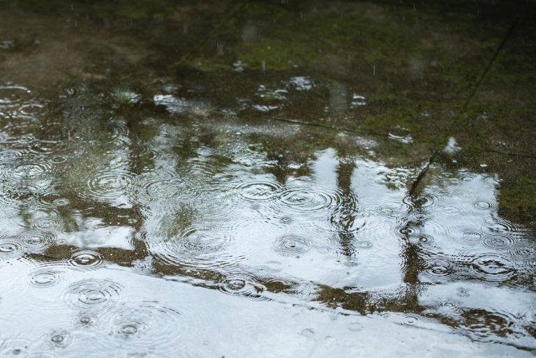récupérateur d'eau de pluie